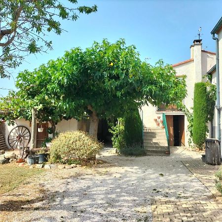 L'Habitacio De Can Rufa Maureillas エクステリア 写真